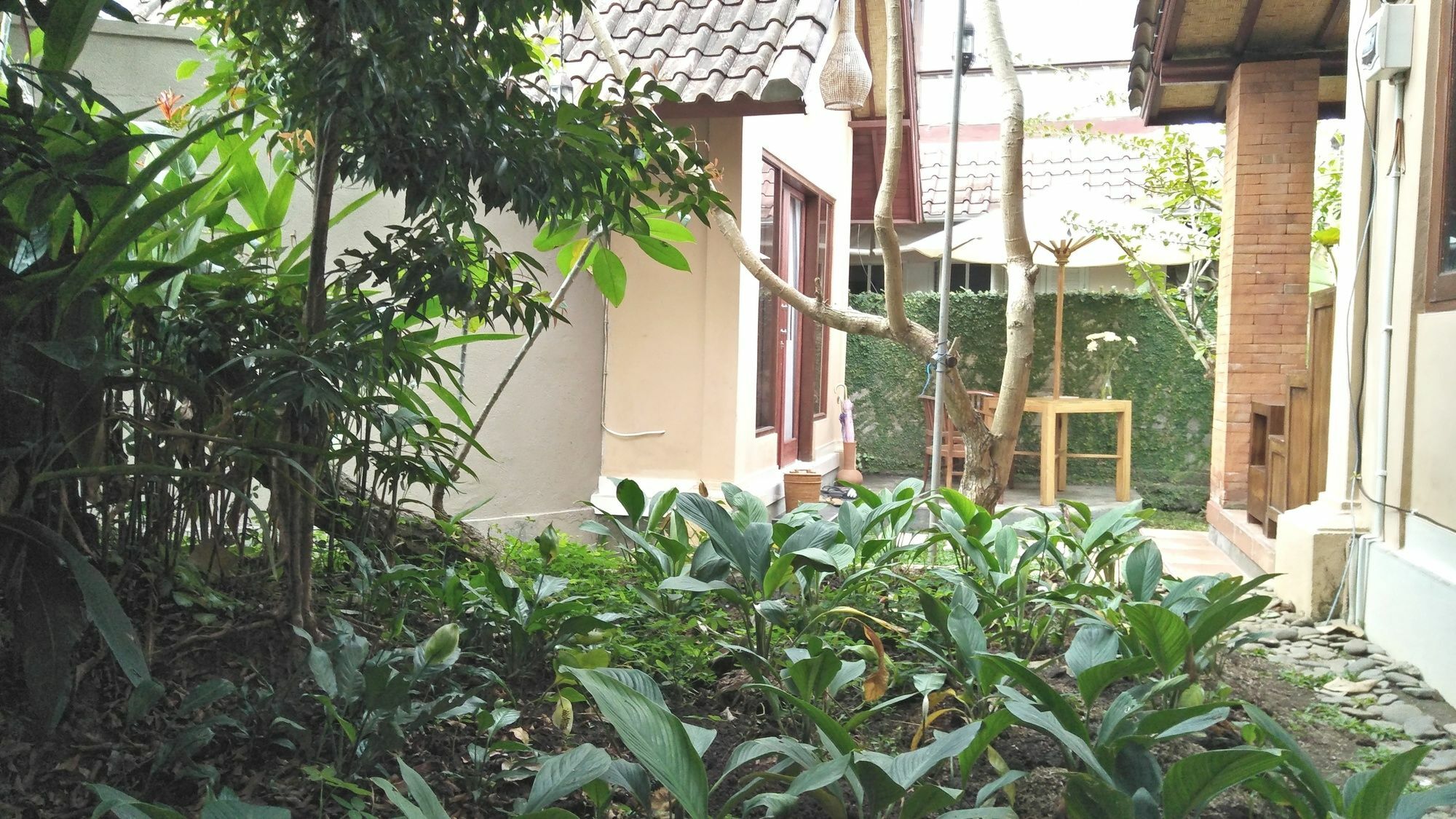 Griya Sriwedari Maison d'hôtes